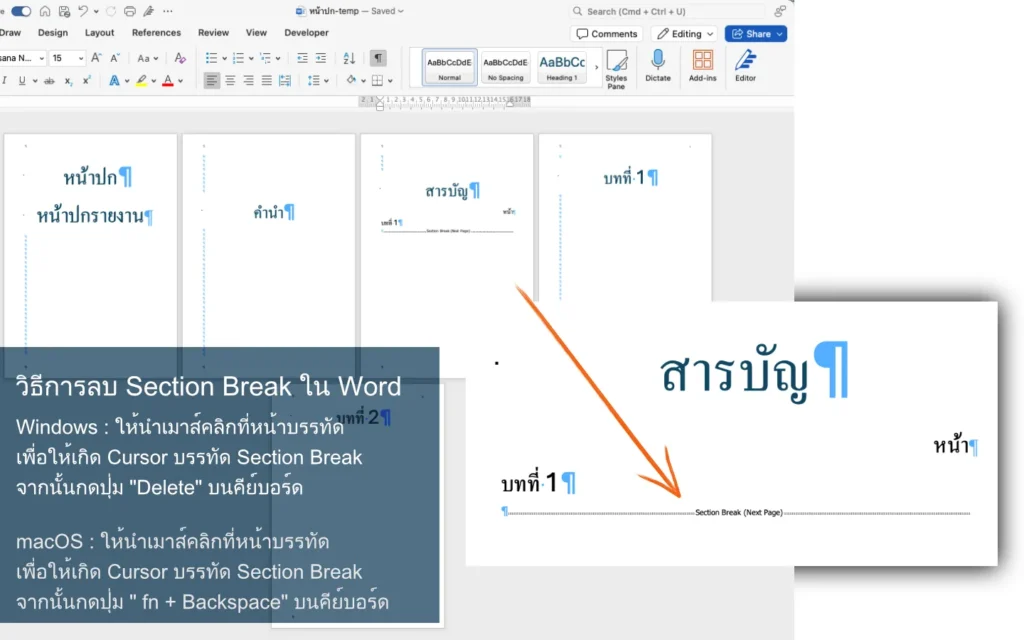 Instructions on how to delete a Section Break in Microsoft Word on both Windows and macOS, showing the Section Break marker